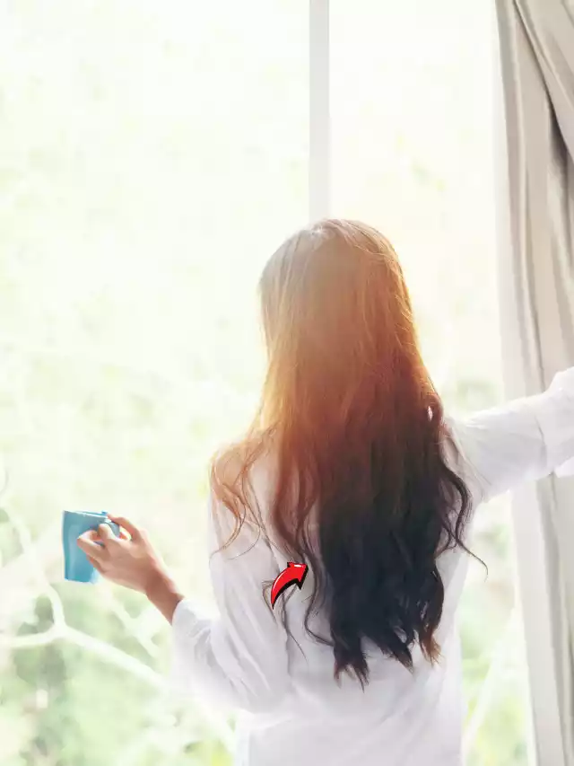 Morning Secrets: How the Most Successful Start Their Day